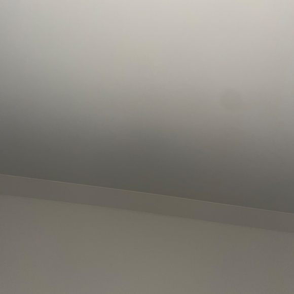 Leoaoarana Swanozski dress - Picture 2 of 2